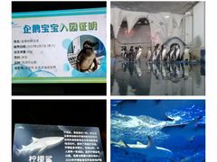 -太平洋海底世界