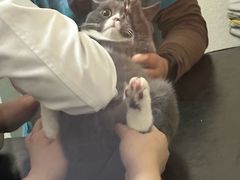 -联合动物医院(光谷诊疗中心)