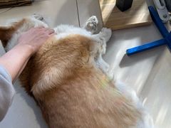 -平行世界·猫咖(首经贸店)