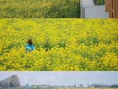 -中国天府农业博览园