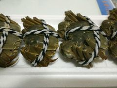 -小陆莲花蟹园农家乐(莲花岛店)