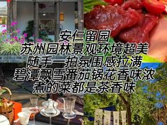 -安仁古镇
