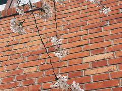 -颐和路民国时期公馆风貌区