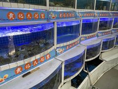 -黄记大闸蟹专卖店·活蟹·醉蟹