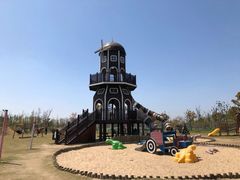 -上海长兴岛郊野公园