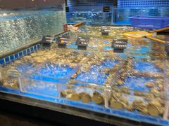 -徐记海鲜(大明宫|北二环店)
