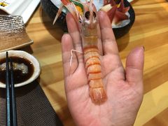 -割烹旭日本料理(龙湖狮山天街店)