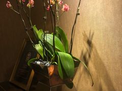 -君悦大酒店行政酒廊