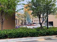 -山东省青岛第二中学(江西路分校)