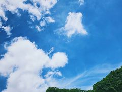 -上海动物园(地铁站)