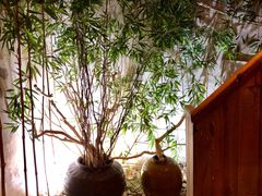 -陌上花开餐厅(云山路店)