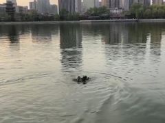 -迎泽公园