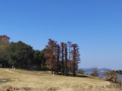 -东钱湖旅游度假区