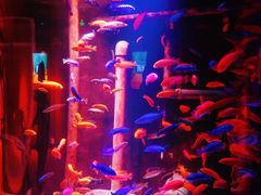 -沈阳海洋探索中心