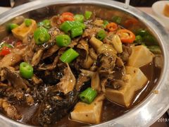 黄丫头炖豆腐-西海温泉假日酒店-中餐厅