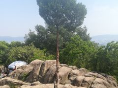 -灵岩山风景区