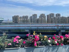 -东钱湖旅游度假区