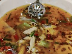 -眉州东坡(北苑华贸店)