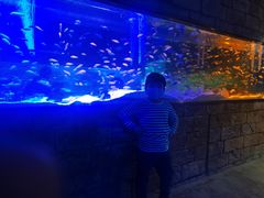 -zoonana室内动物园(东方福来德店)
