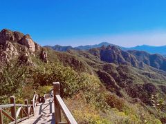 -大岭沟猕猴桃谷风景区