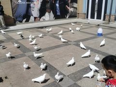 -王府井奥莱棋盘山小镇