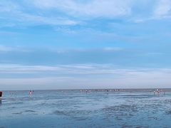 -南汇新城海滩
