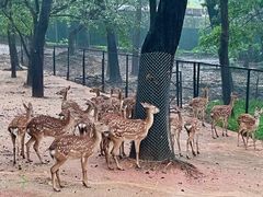 -深圳野生动物园
