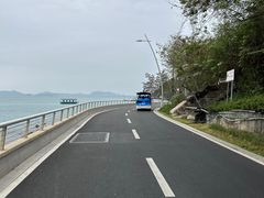 -杨梅坑