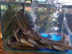 -本炙炭烤·蒲烧活鳗料理店(金沙洲店)