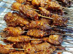 -清真·马峰烤肉(小学习北巷店)