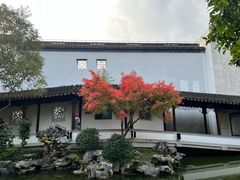 -秋霞圃