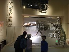 -国家自然博物馆