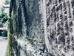 -子昂故里文化旅游区