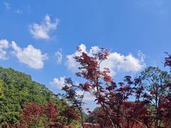 -广州市帽峰山景区