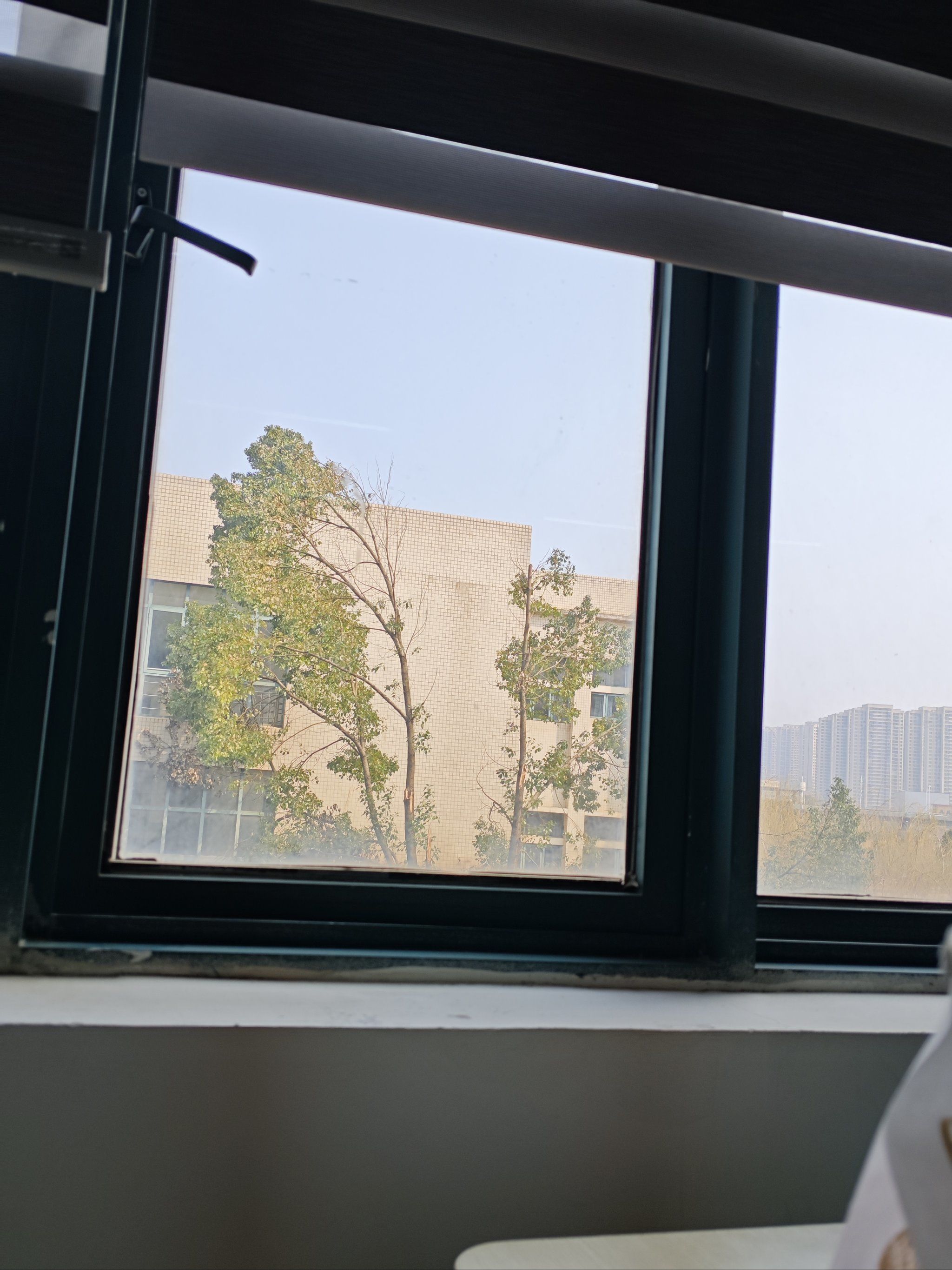 只有在上课的时候才会特别想看窗外的校园