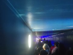 -白鹤梁水下博物馆