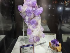 -中国地质大学逸夫博物馆