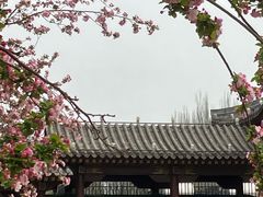 -元大都城垣遗址公园