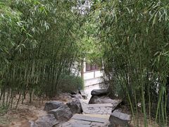 -西安青龙寺遗址景区