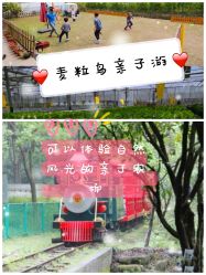 -麦粒鸟亲子游