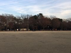 -井之头恩赐公园