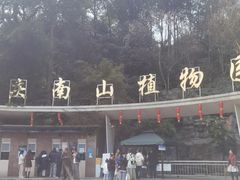 -南山植物园