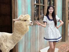 -南戴河国际娱乐中心