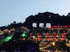 -枇杷园食为鲜火锅(南山店)
