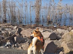 -阳澄湖半岛旅游度假区