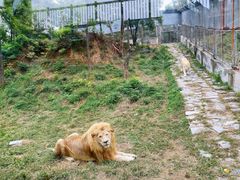 -石家庄市动物园