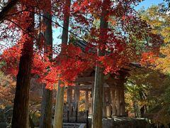 -醍醐寺