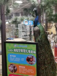 -小象动悟公园(龙湖亦庄天街店)