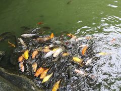-珠海圆明新园