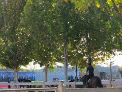 -北京群众马术培训基地